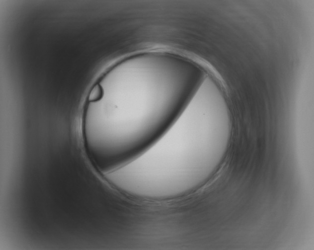 X0000102311424200807251032