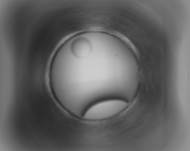 X0000102311432200807251032