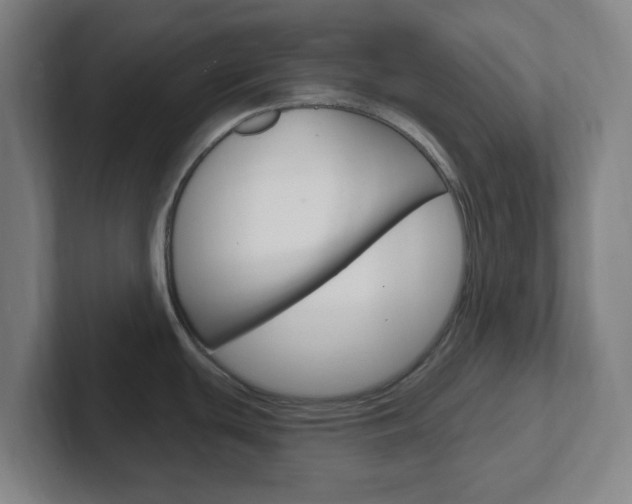 X0000102311439200807251032