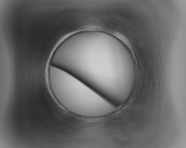 X0000102311440200807251032
