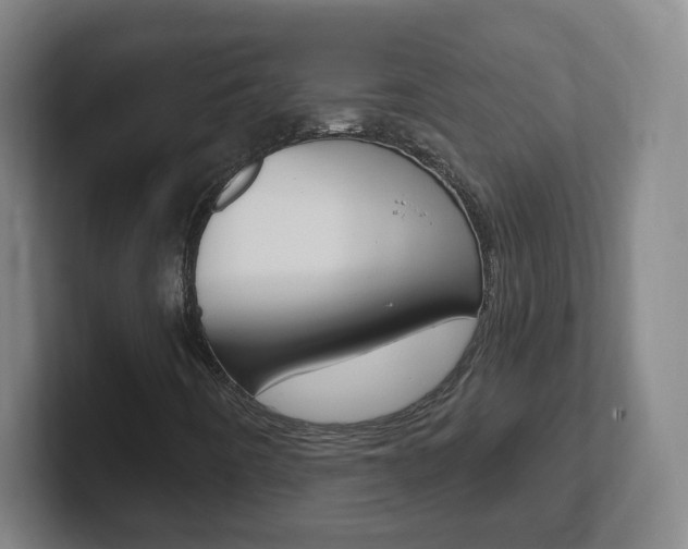 X0000102311442200807251031