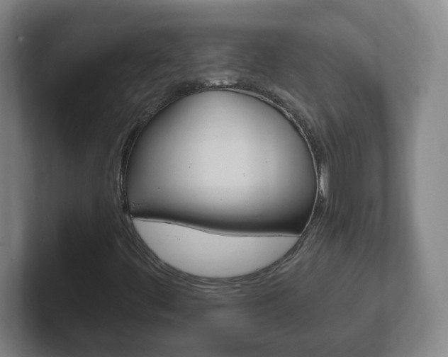 X0000102311444200807251031