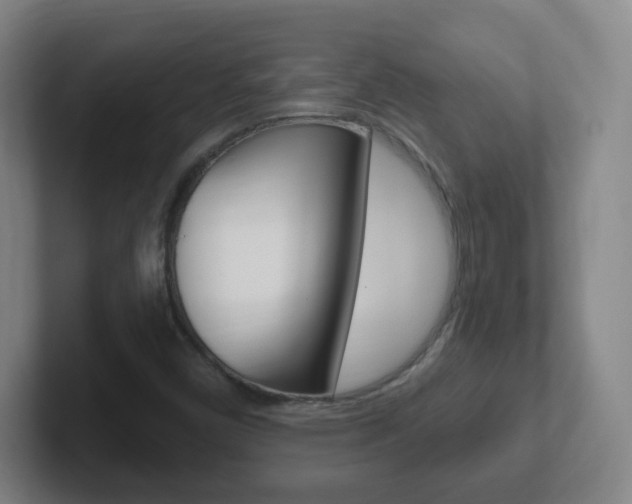X0000102311450200807251031