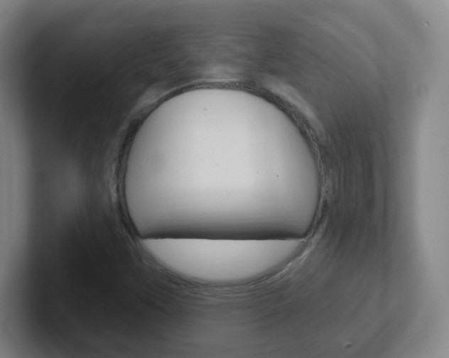 X0000102311451200807251031