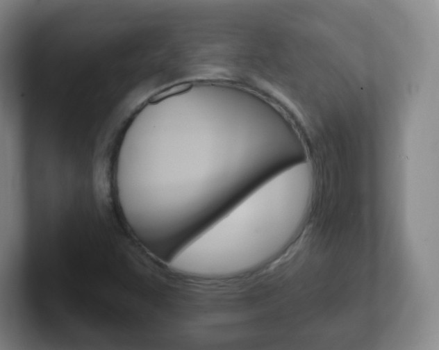 X0000102311455200807251031
