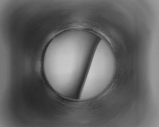 X0000102311459200807251031