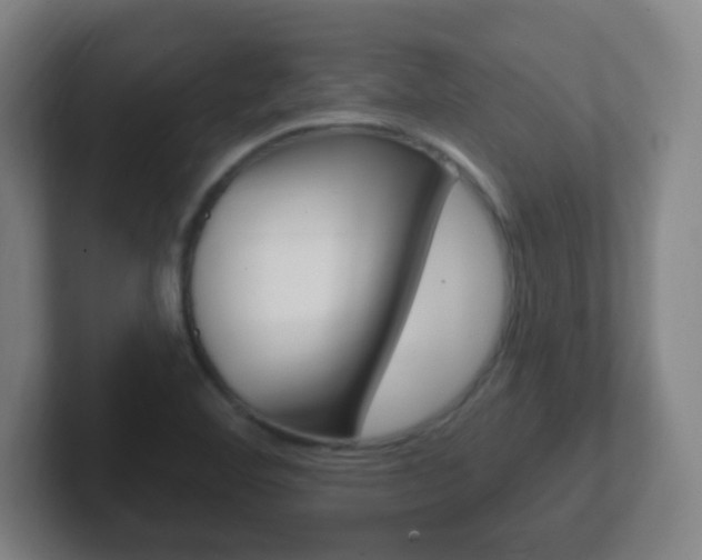 X0000102311460200807251031