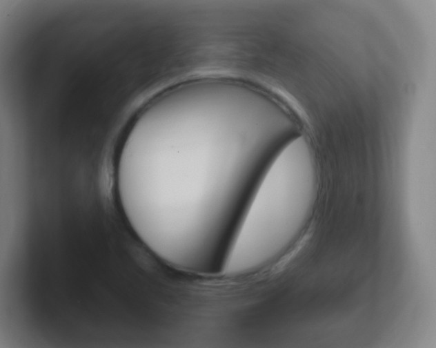 X0000102311461200807251031