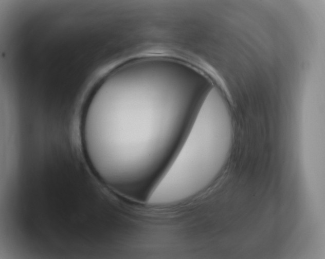 X0000102311464200807251031