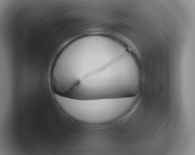 X0000102311465200807251031