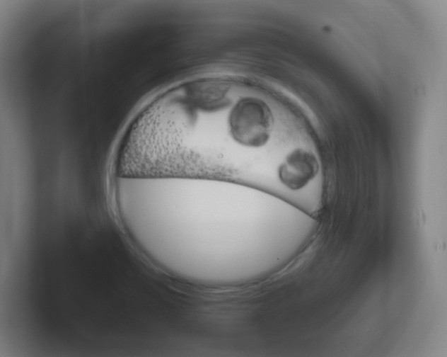 X0000102311467200807251031