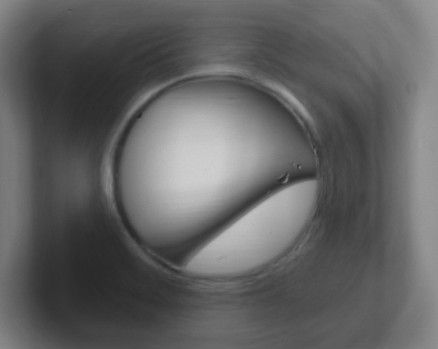 X0000102311468200807251031