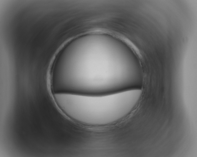 X0000102311476200807251031