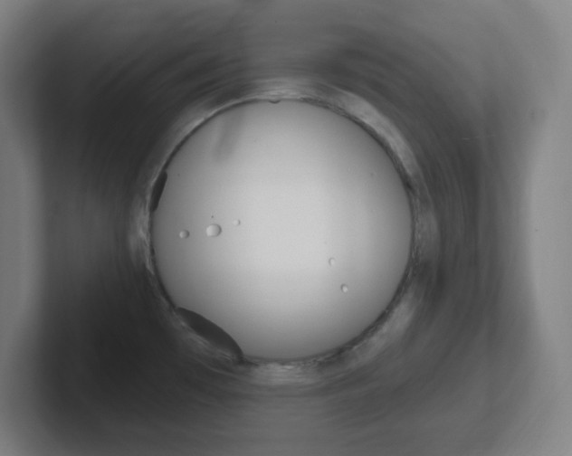 X0000102311481200807251031
