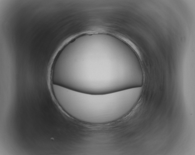 X0000102311485200807251031