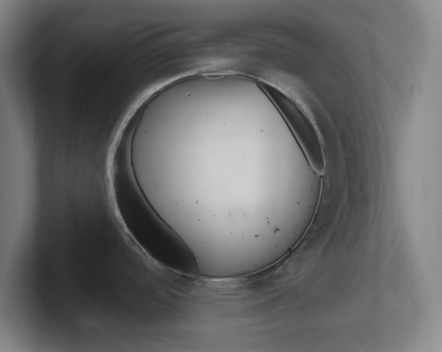 X0000102311488200807251031