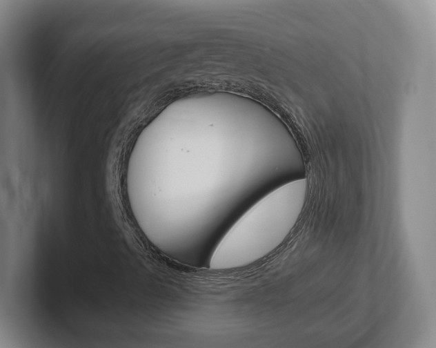 X0000102311489200807251030