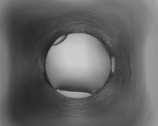 X0000102311491200807251030