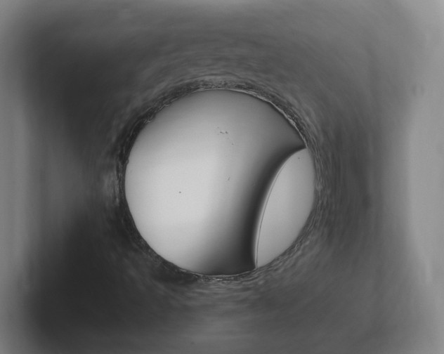 X0000102311493200807251030