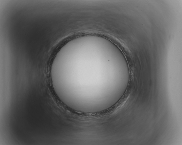 X0000102311494200807251030