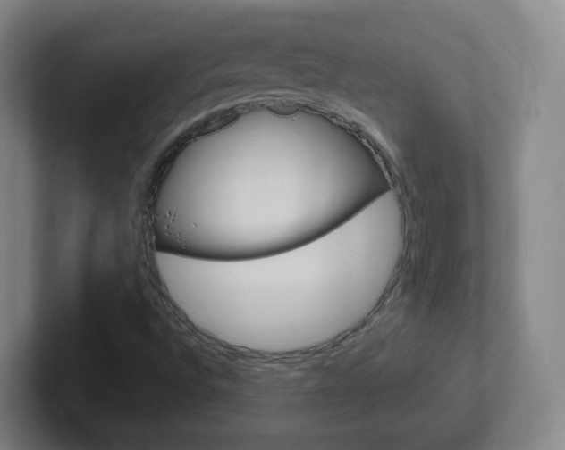 X0000102311496200807251030