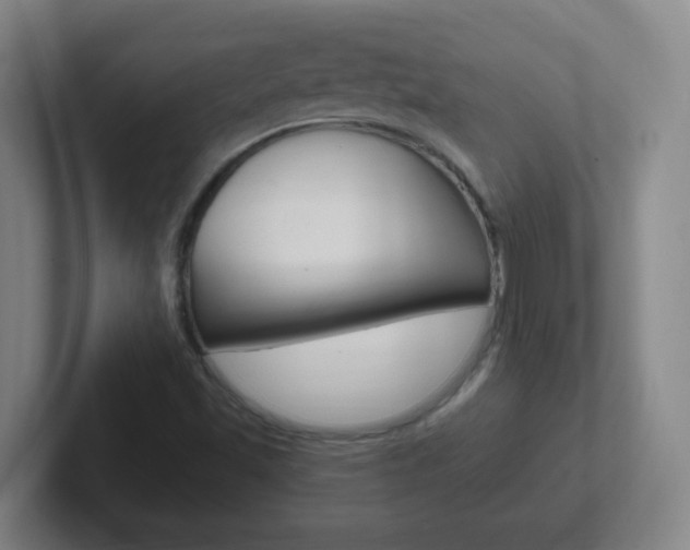 X0000102311501200807251030