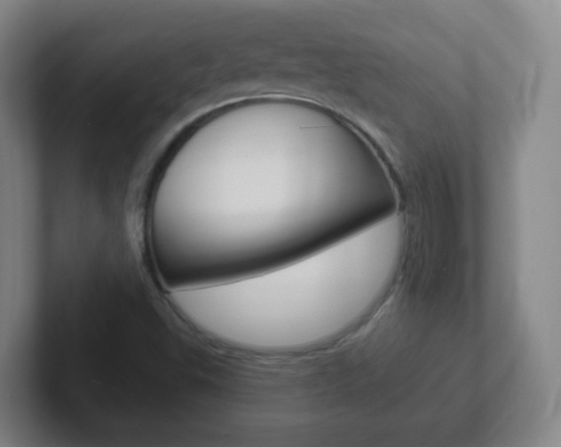 X0000102311503200807251030