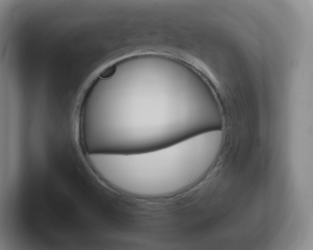 X0000102311504200807251030