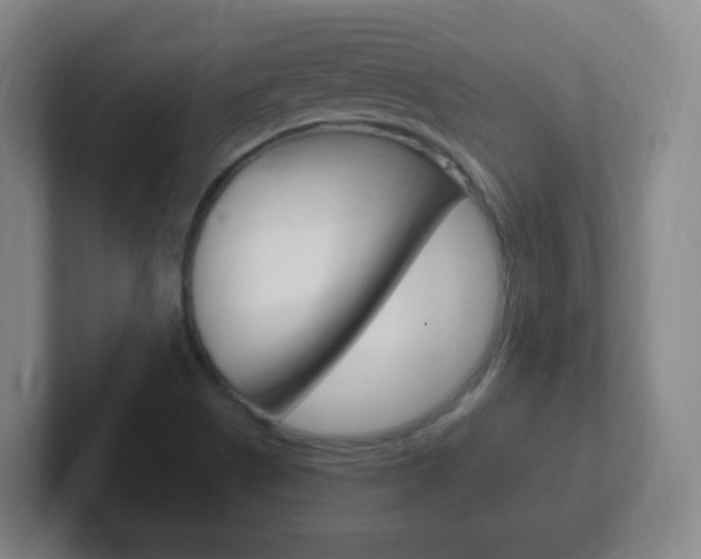 X0000102311505200807251030