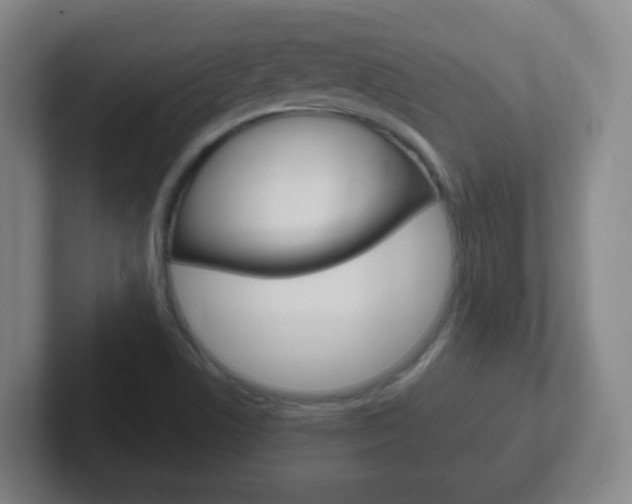 X0000102311506200807251030