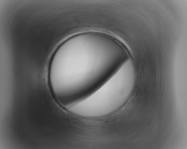 X0000102311508200807251031