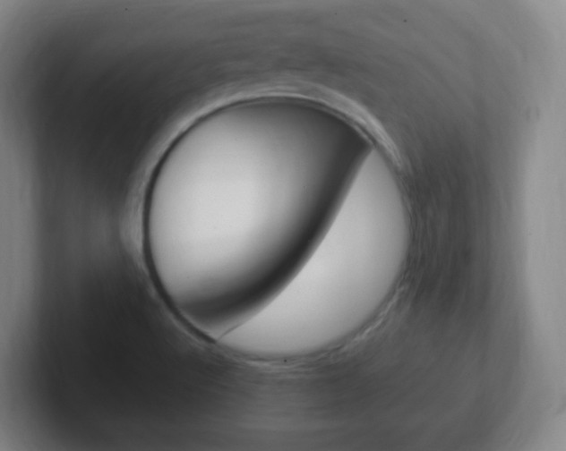 X0000102311512200807251031