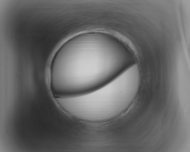 X0000102311520200807251031