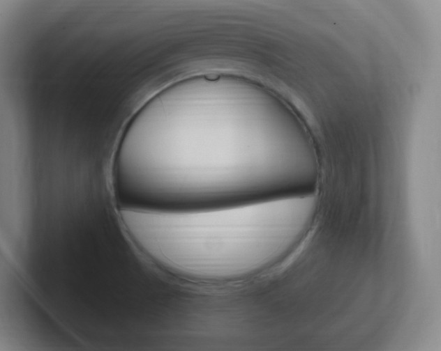 X0000102311521200807251031