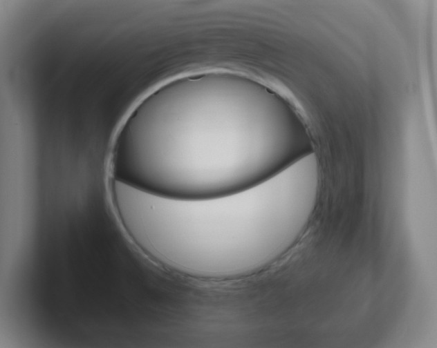 X0000102311524200807251031