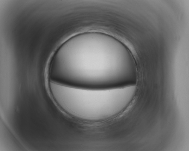 X0000102311525200807251031