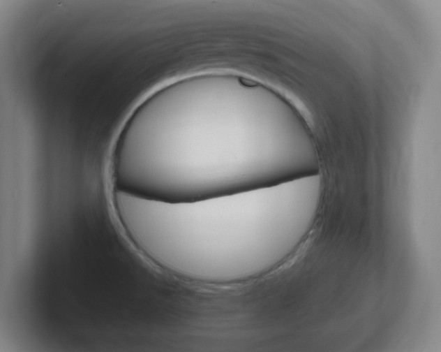 X0000102311526200807251031