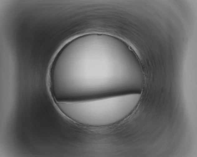 X0000102311531200807251031