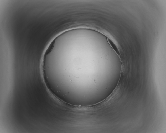 X0000102311532200807251031