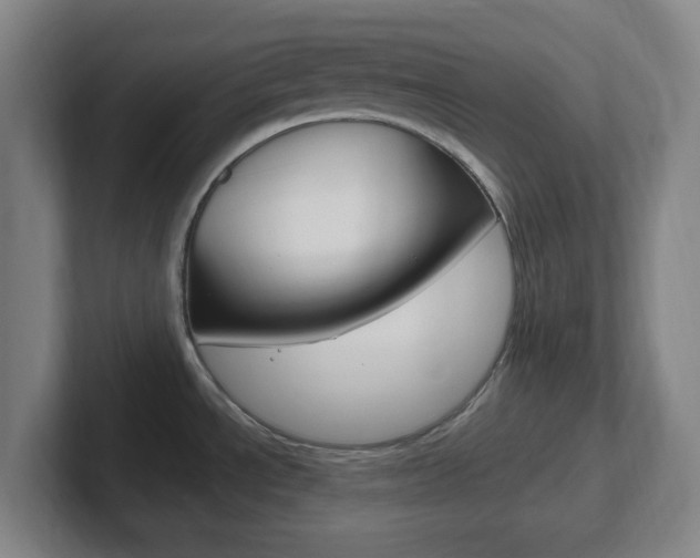 X0000102311534200807251031