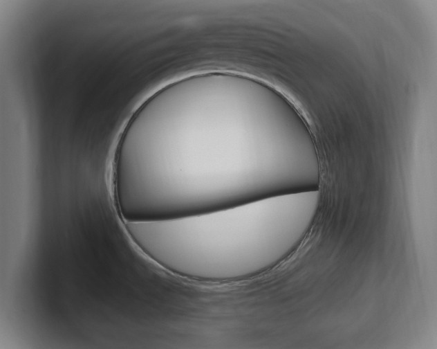 X0000102311535200807251031