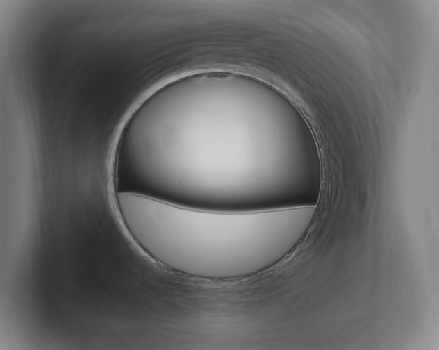 X0000102311536200807251031