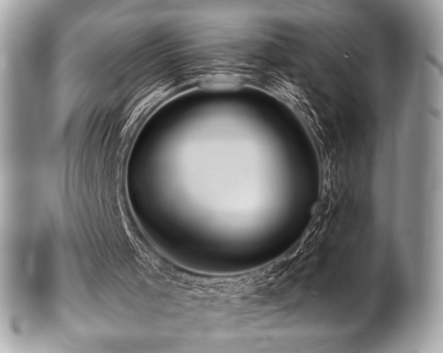 X0000102310001200807251450