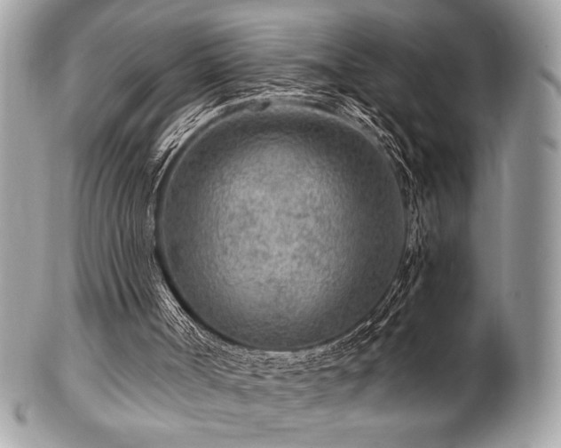 X0000102310002200807251450