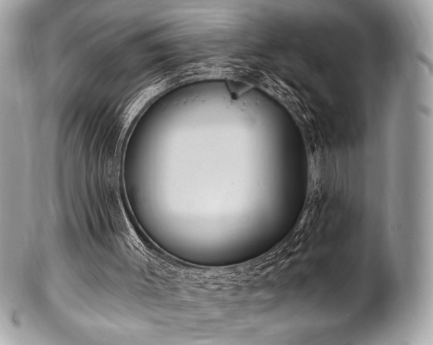 X0000102310003200807251450