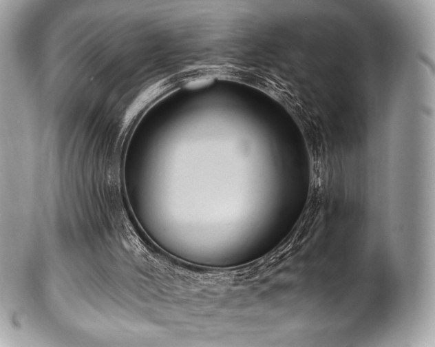 X0000102310004200807251450