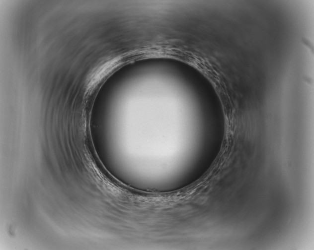 X0000102310005200807251450