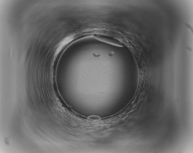 X0000102310006200807251450