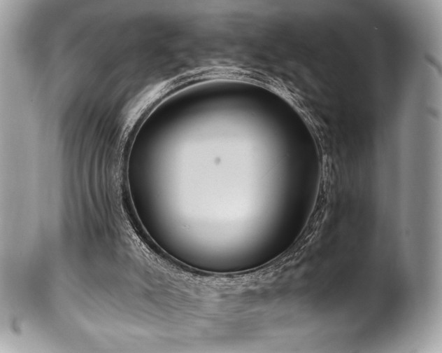 X0000102310007200807251450