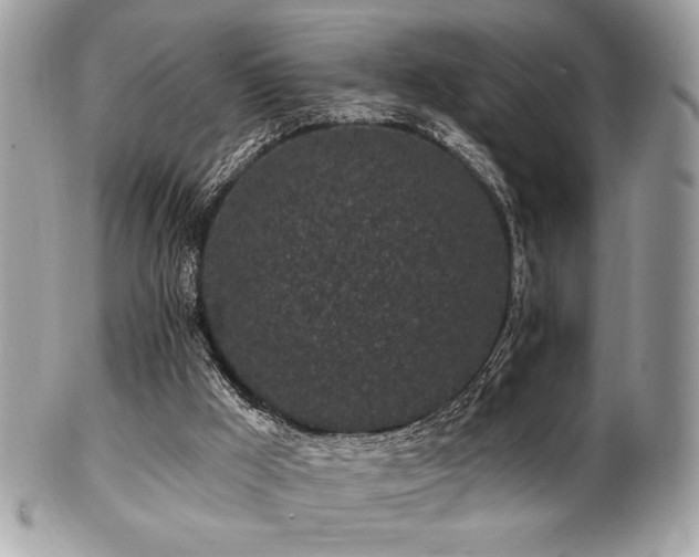 X0000102310009200807251450